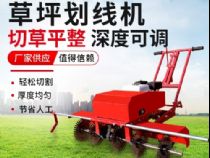點(diǎn)擊查看詳細(xì)信息<br>標(biāo)題：草皮劃線機(jī) 閱讀次數(shù)：2494
